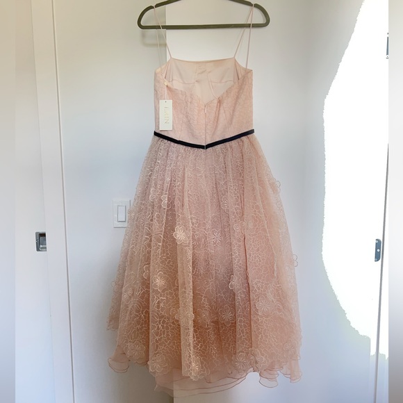 Erin Fetherston Lucielle 3-D Floral Organza Dress NWT - Picture 9 of 14